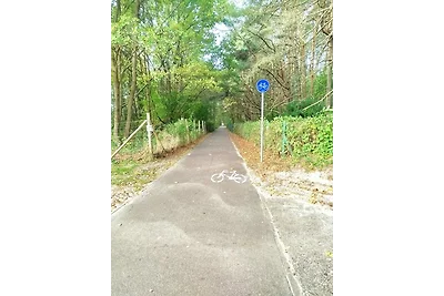 Sommerferienhaus Grzybowo