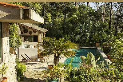 A Pines & Palms Estate by Cadenzalux