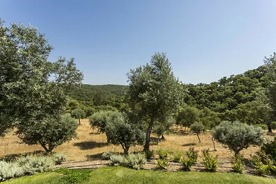 Grandola Mountain Paradise by CadenzaLux