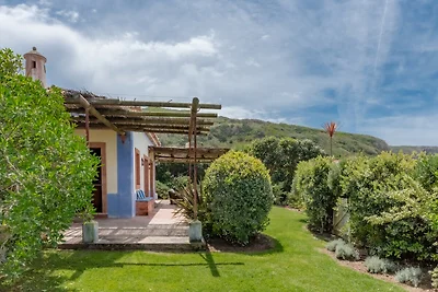 Beachfront Recluse by CadenzaLux