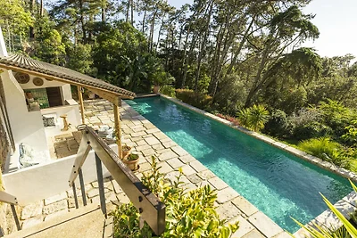 A Pines & Palms Estate by Cadenzalux