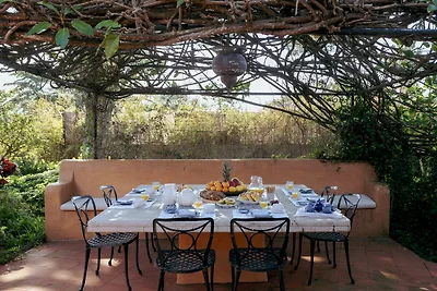 Terracotta Treasure Villa by Cadenzalux