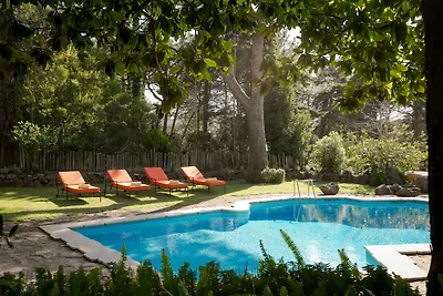 Terracotta Treasure Villa by Cadenzalux