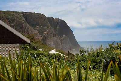 Beachfront Recluse by CadenzaLux