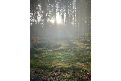 VaraHemma Lillegarden