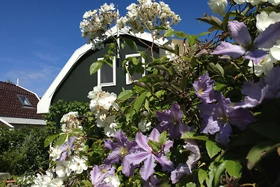 Duyn72 – private Ferienwohnung