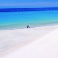 Familie L. Mena Lander