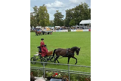 RolliHolly Ferienhaus