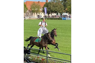 RolliHolly Ferienhaus