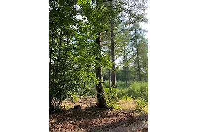 RolliHolly Ferienhaus