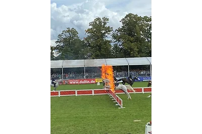 RolliHolly Ferienhaus