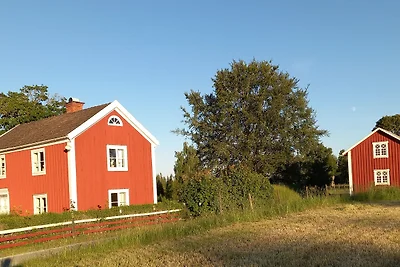 Rosen Skog