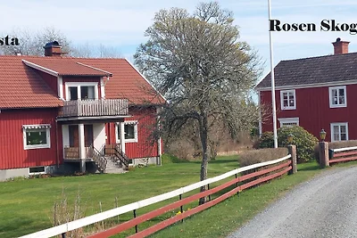 Rosen Skog
