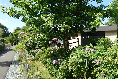 Vakantiepark Wildrijk