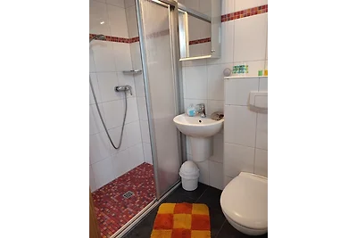 Appartement / 1- 2 Hunde o.k.