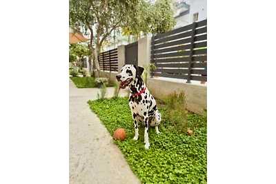 Modern Seaside Retreat with Private Patio and Parking