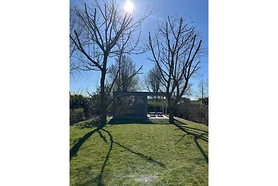 Strandgut  ( ***** DTV-Klassifizierung)