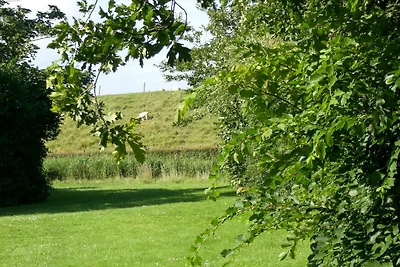 Bungalowpark De Tong 129