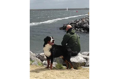 Bungalowpark De Tong 129