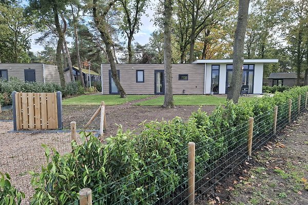 Ferienhaus Haarle
