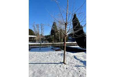 Ferienhaus im wunderschönen Neu Venedig