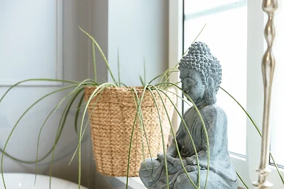 Lindegaarden Kollund