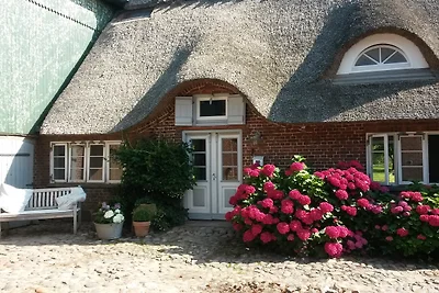 Zum Innenhof - Dreiseithof Nieby