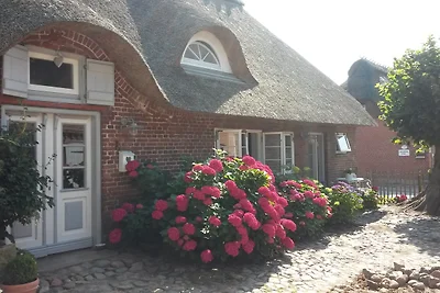 Kleine Aufnahme - Dreiseithof Nieby