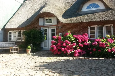 Über der Remise - Dreiseithof Nieby