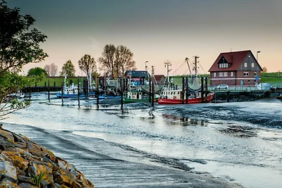 Ferienhaus Wiesenfrische