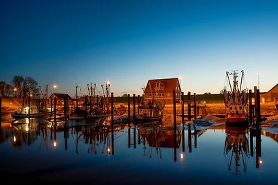 Ferienhaus Wiesenfrische