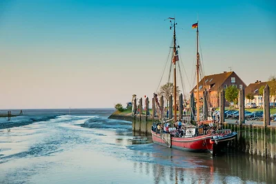 Ferienhaus Wiesenfrische