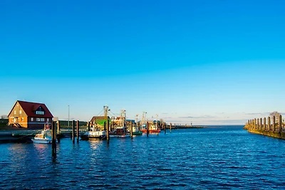 Ferienhaus Wiesenfrische