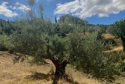 Ferienwohnung LIMONE