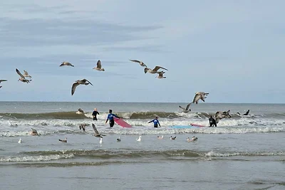Ferienhaus Erholungsurlaub Castricum