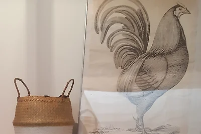 Ferienhaus Erholungsurlaub Castricum