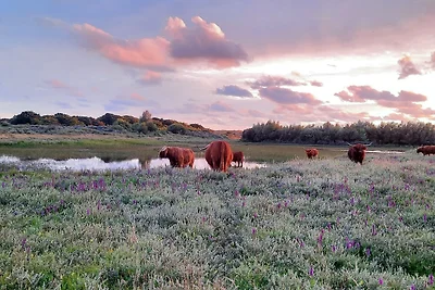 Ferienhaus Erholungsurlaub Castricum