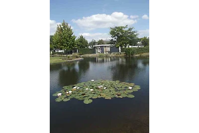 Ferienchalet am Seerosenteich