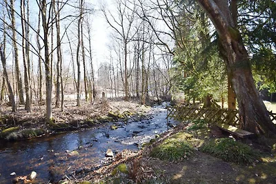 Haus Angela - Ferienwohnungen Harzperle I und II Braunlage