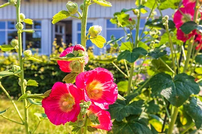 Am Krabbenort Fewo 1