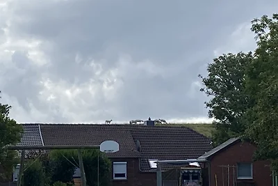 Lütt Hus am Süderdiek