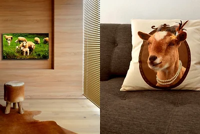 REFUGIUM.BETZENSTEIN  |  BIO.DESIGN.FERIENWOHNUNGEN