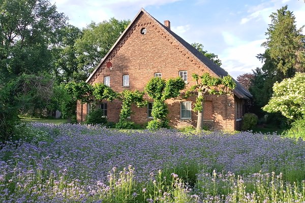 Ferienwohnung Brockum