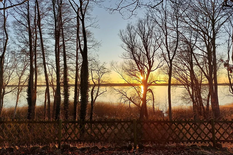 Sonnenuntergang über Bäumen, See und farbenfrohem Himmel genießen.