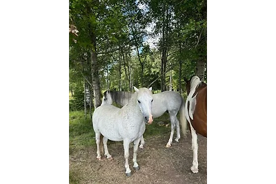 Rustikales Bauernhaus