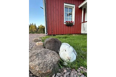 Rustikales Bauernhaus