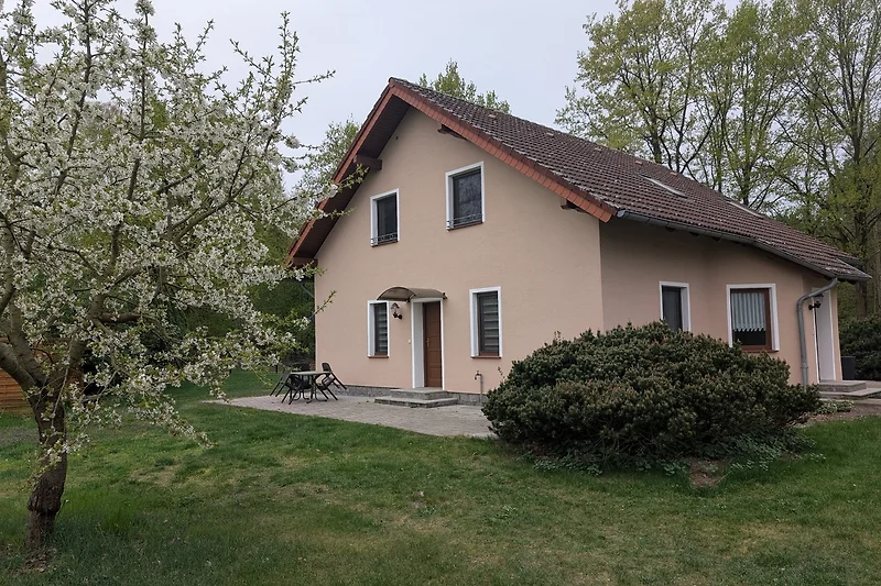 Ferienhaus mit großem Garten