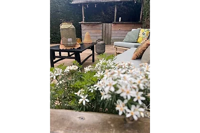 Maison de charme avec piscine