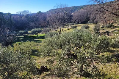 La Chouette Paisible