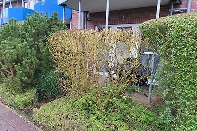 Kleiner Mövenschiß